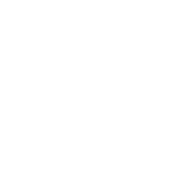 scan-icon